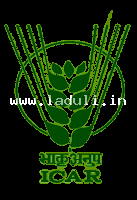 Icar NBSSLUP Nagpur Bharti-2026 (laduli.in)